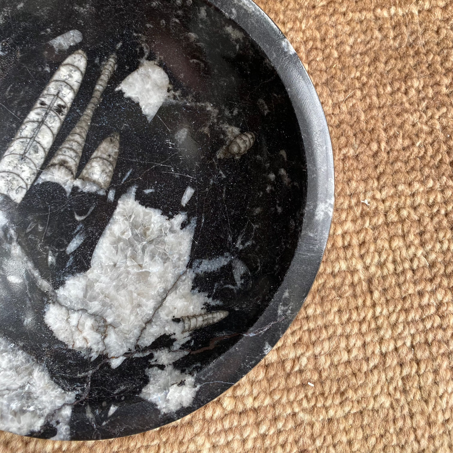 Black Fossil Bowl