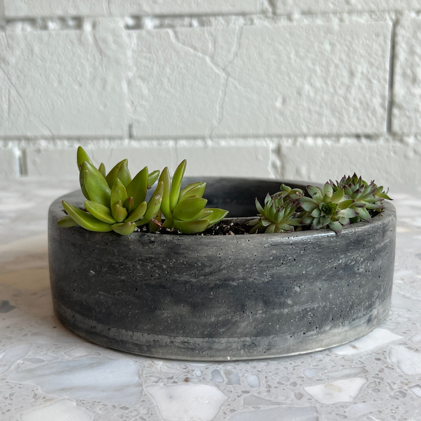 Circular Planter