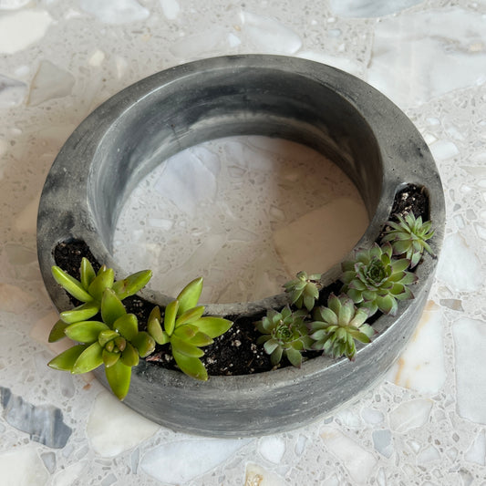 Circular Planter