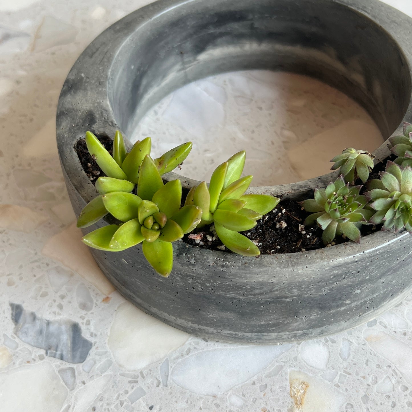 Circular Planter