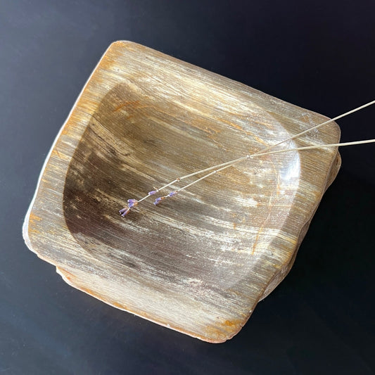 Petrified Wood Catchall